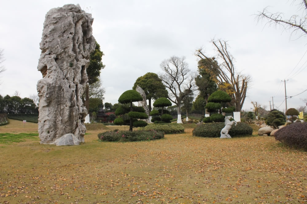 园区风景