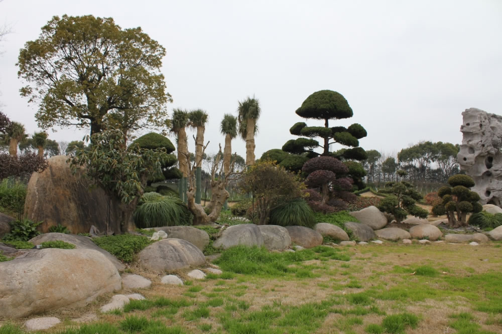 园区风景